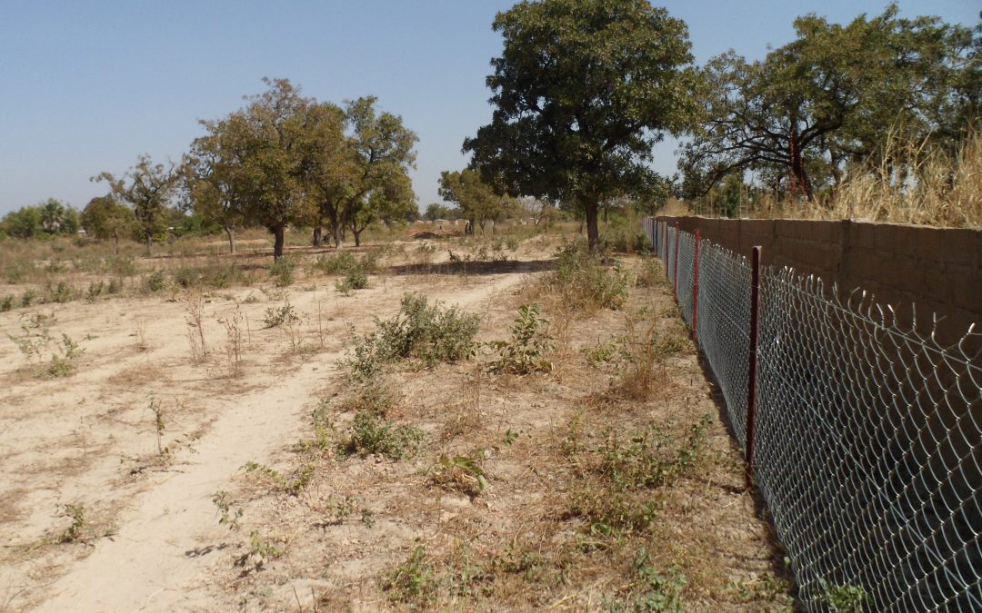 Aménagement de 02 périmètres maraichers dans la commune rurale de Kapala dans la Région de Koutiala